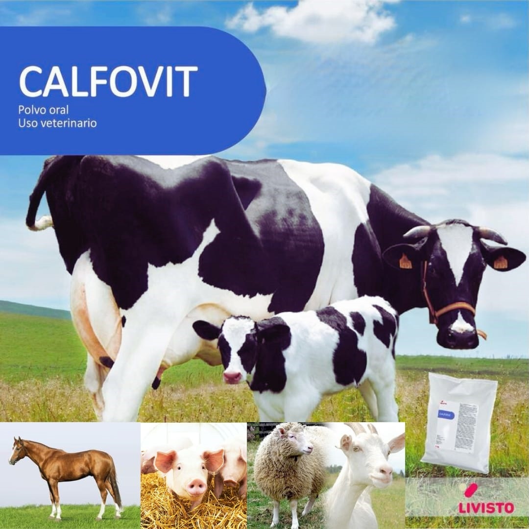 CALFOVIT (Suplemento alimenticio) Polvo oral Envase 1 kg LIVISTO